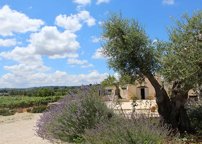 Trulli Laetitia